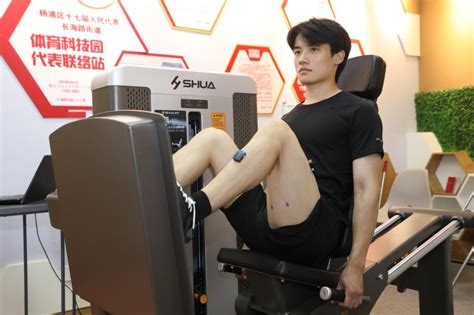 平台全站App 世界杯体育